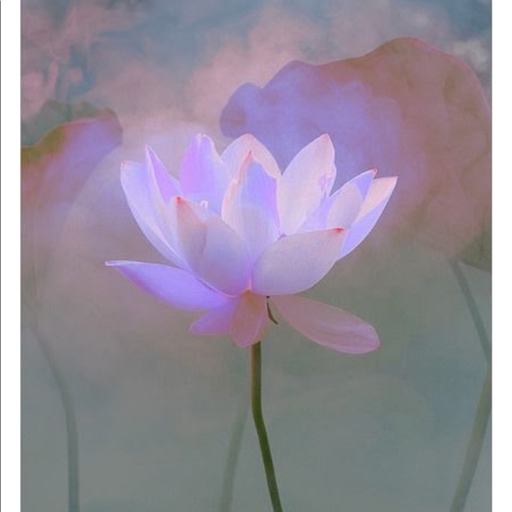 Meet your Posher, Letty